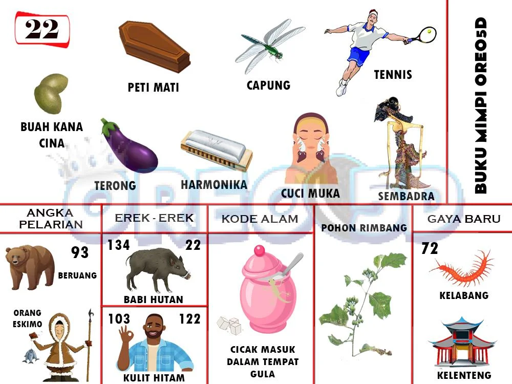 buku mimpi erek erek togel 22